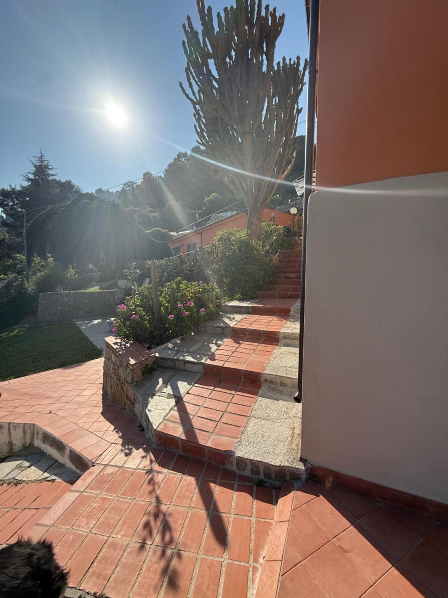 Agriturismo Un Mare Di Fiori Ventimiglia Ngoại thất bức ảnh